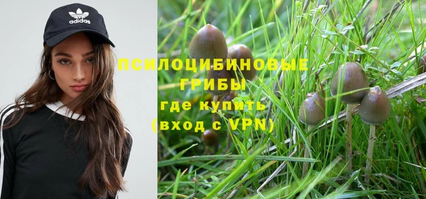 стаф Абаза